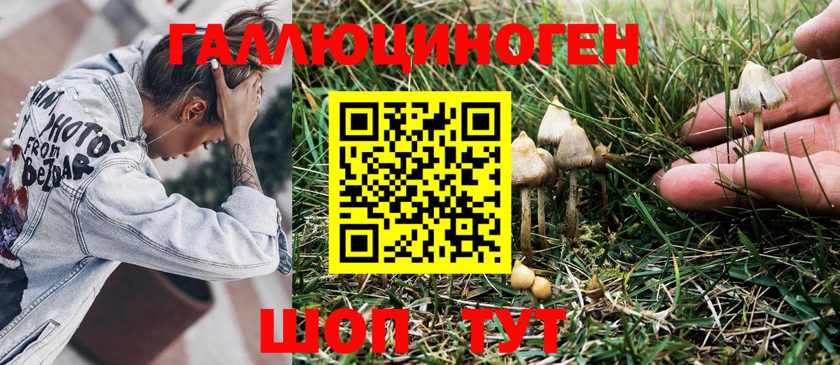 Галлюциногенные грибы GOLDEN TEACHER Электросталь